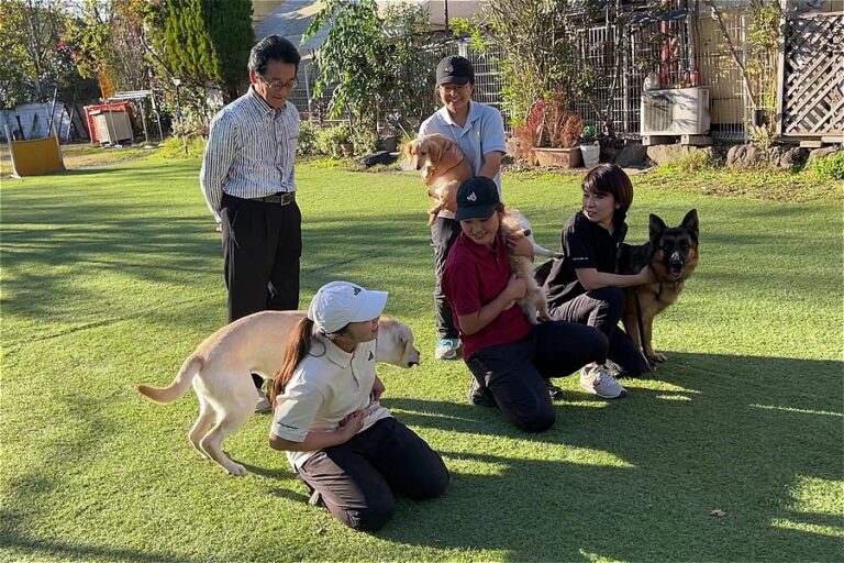 犬に遊ぶように訓練する方法