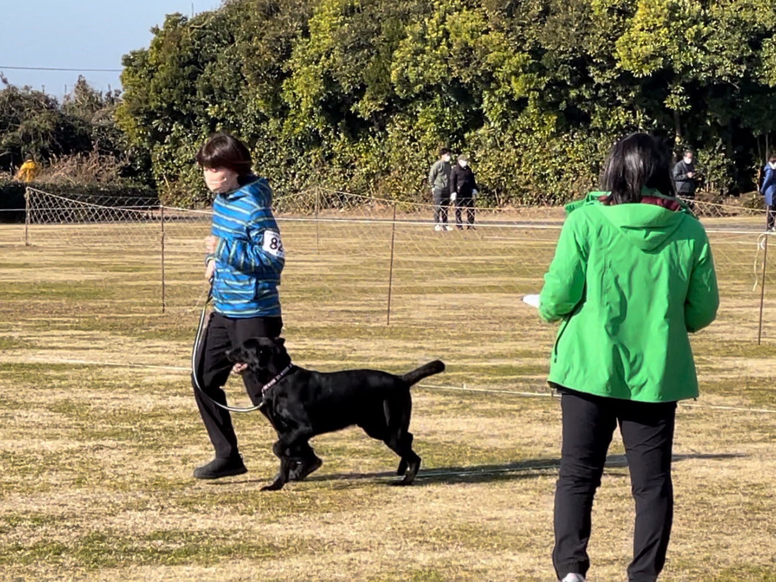 春季東日本ch決定審査会及び東日本訓練ch決定競技会 犬のしつけ教室 ドッグスクール セイントフジ 東京八王子